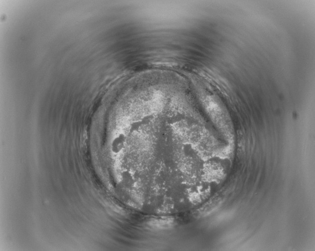 X0000088030369200706011355