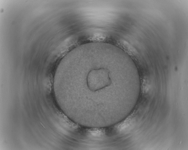 X0000088030370200706011355