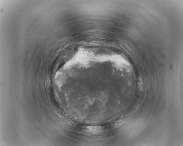 X0000088030371200706011355