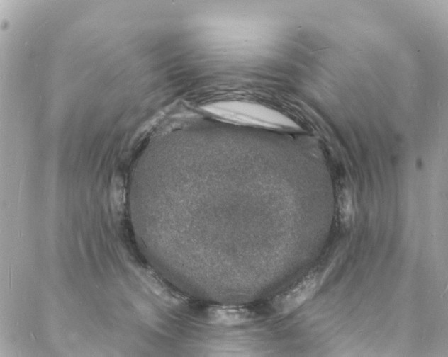 X0000088030372200706011355