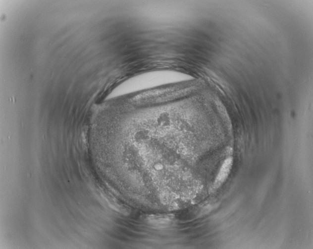 X0000088030373200706011355