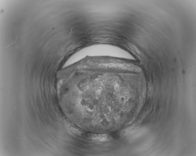 X0000088030377200706011355