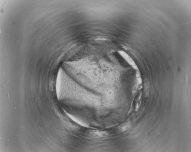 X0000088030379200706011356