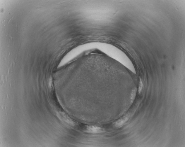 X0000088030380200706011356