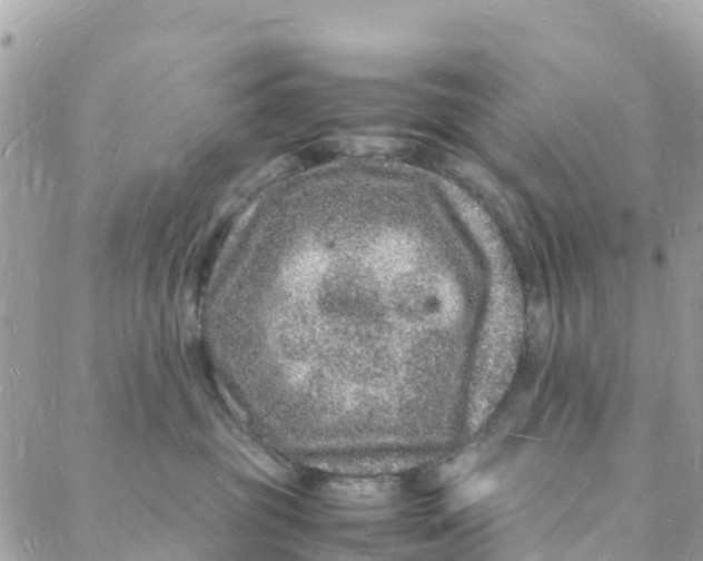 X0000088030381200706011356