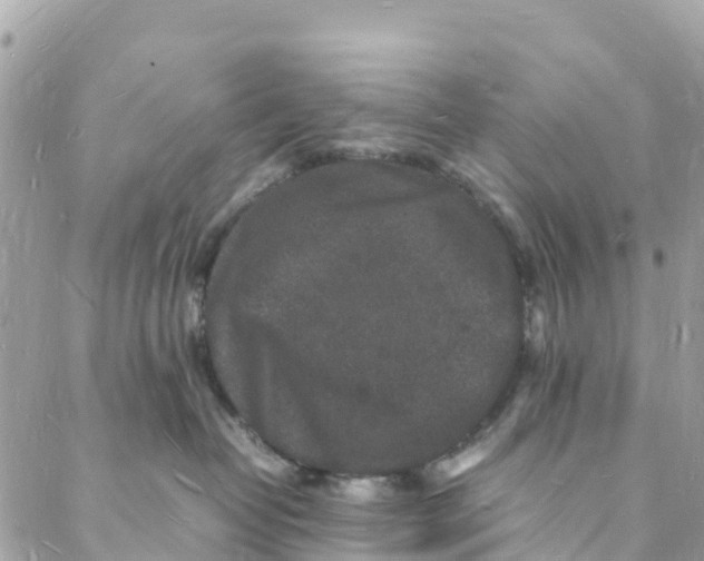 X0000088030382200706011356