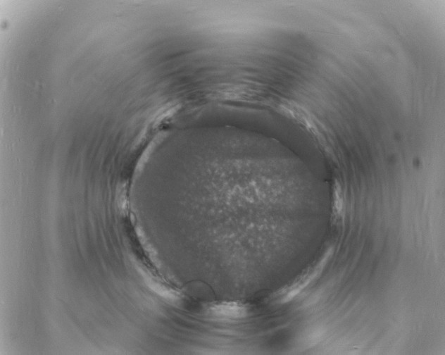 X0000088030383200706011356