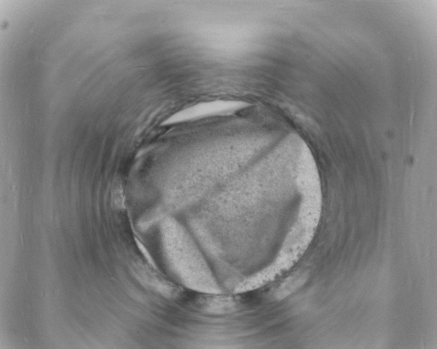 X0000088030384200706011356