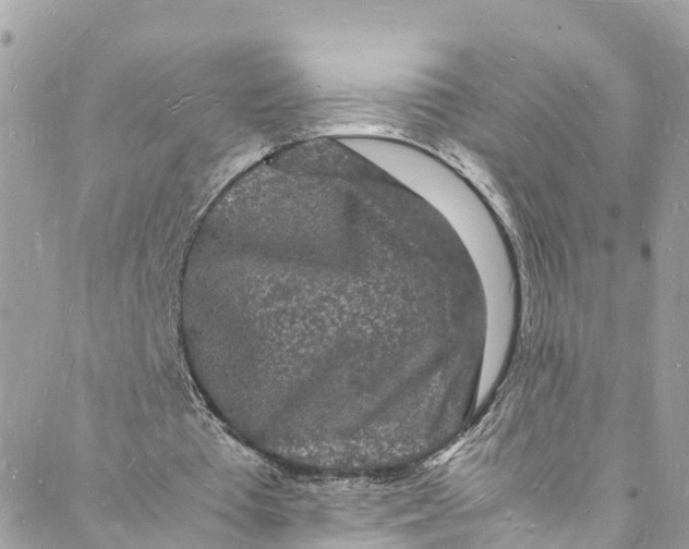 X0000088030385200706011355