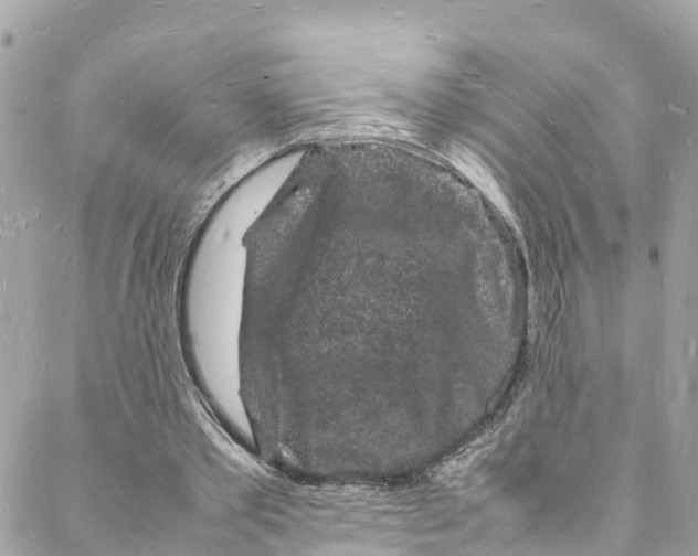 X0000088030389200706011355