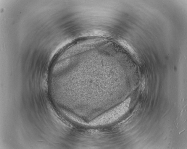 X0000088030392200706011355