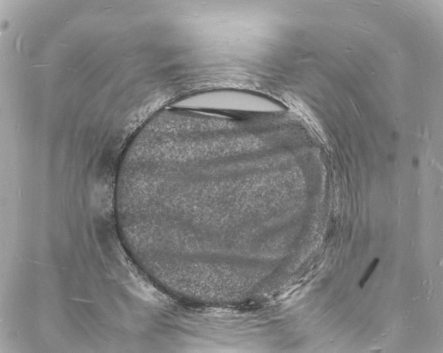 X0000088030393200706011355