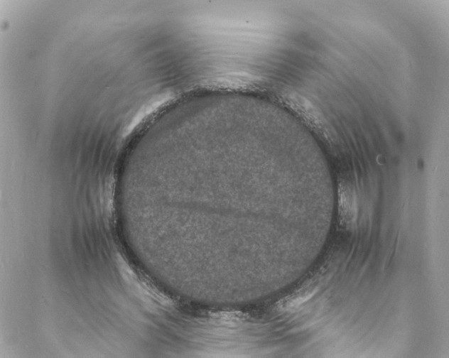 X0000088030396200706011355