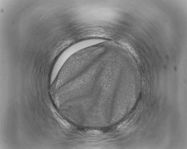 X0000088030397200706011355