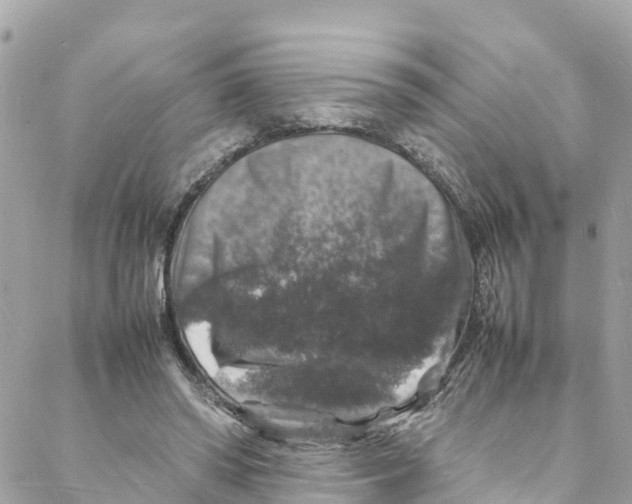 X0000088030398200706011355