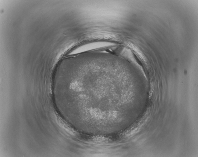 X0000088030399200706011355