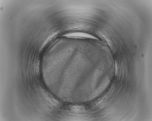 X0000088030400200706011355