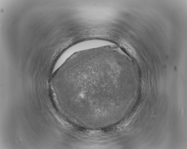 X0000088030401200706011355