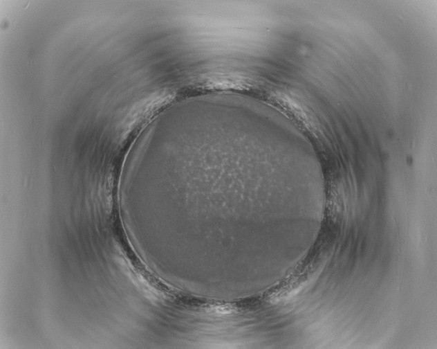 X0000088030402200706011355