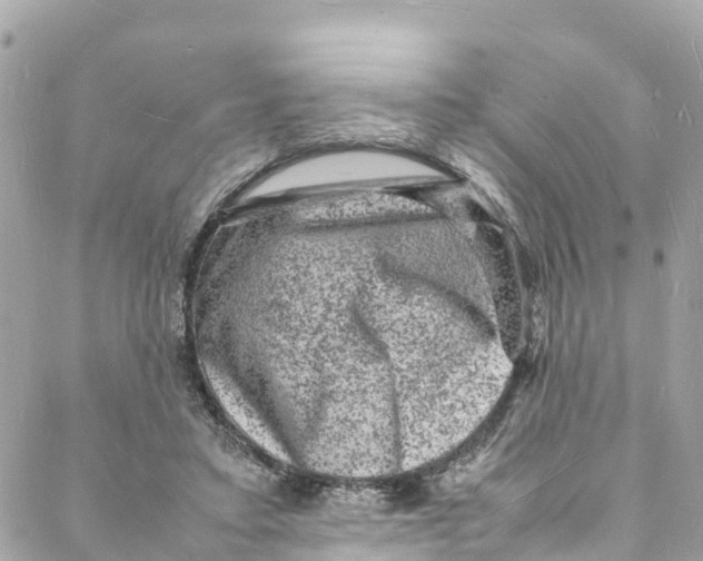 X0000088030403200706011355