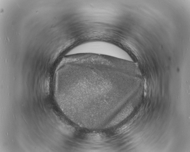 X0000088030404200706011354