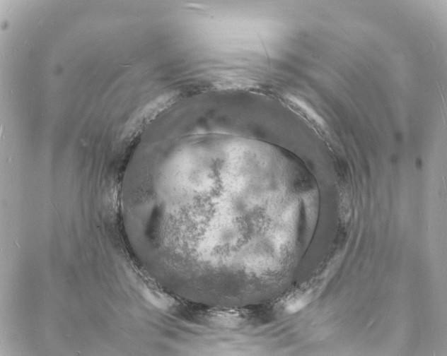 X0000088030405200706011354