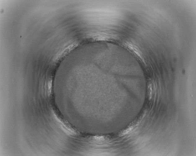 X0000088030406200706011354