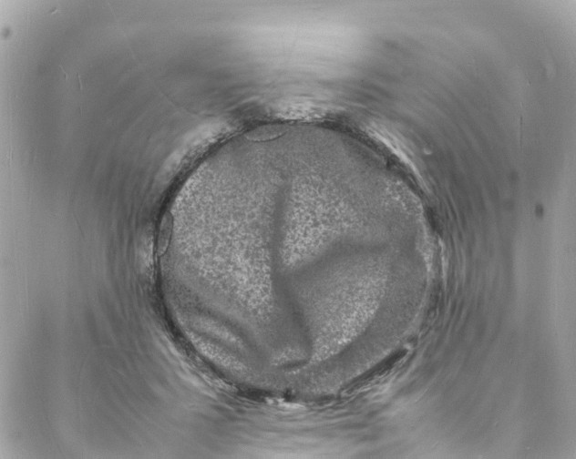 X0000088030407200706011354