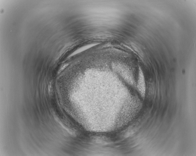 X0000088030408200706011354