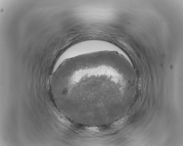 X0000088030409200706011354