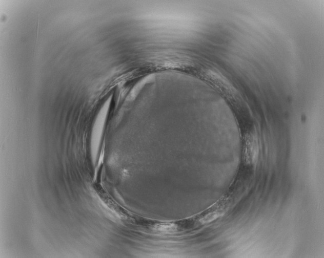 X0000088030410200706011354