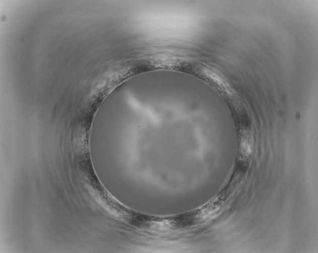 X0000088030411200706011354