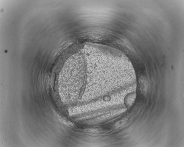 X0000088030412200706011354