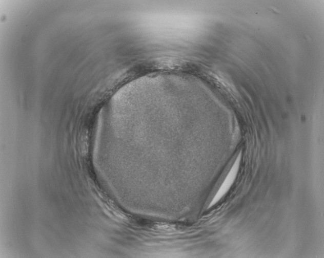 X0000088030413200706011354