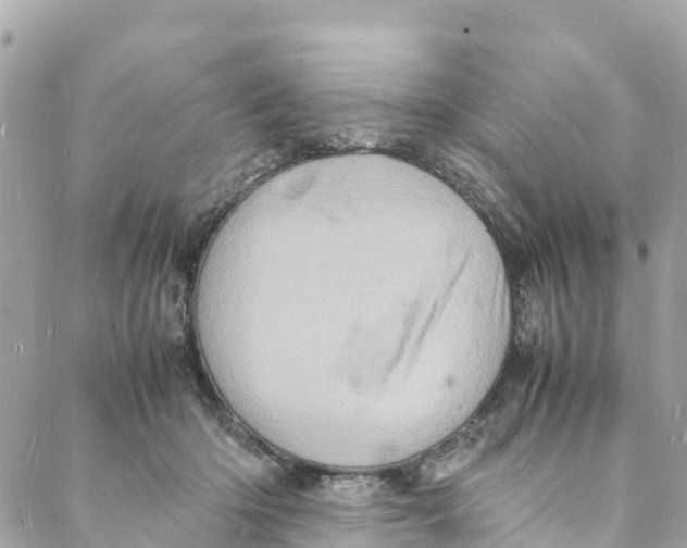 X0000088030414200706011354