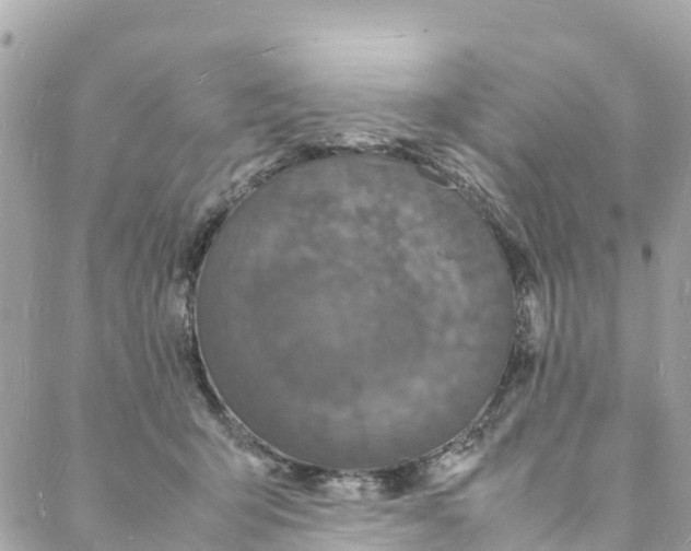 X0000088030415200706011354