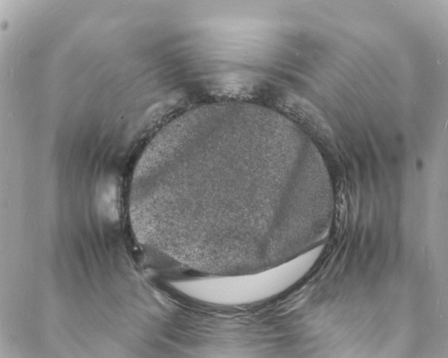 X0000088030416200706011354