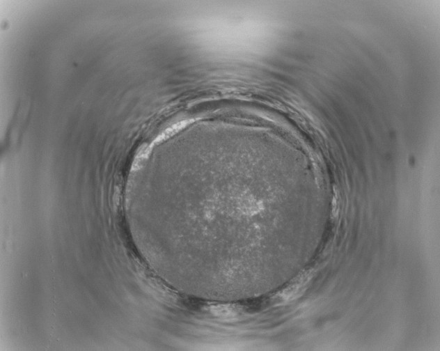 X0000088030417200706011354