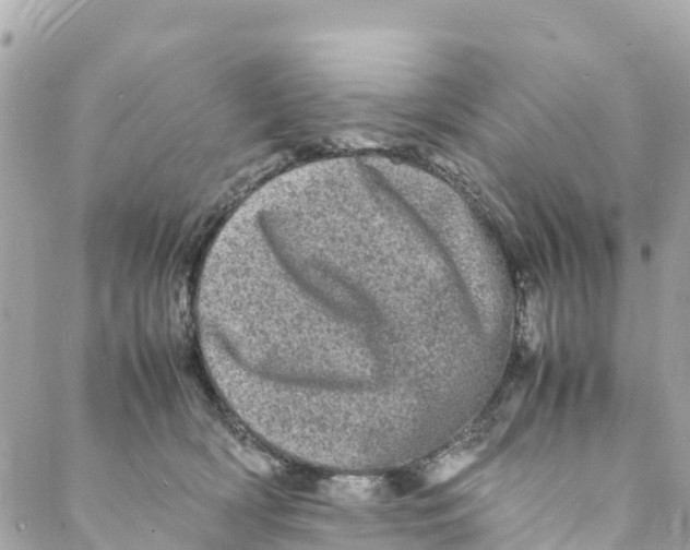 X0000088030418200706011354