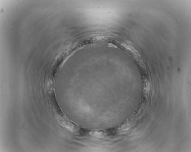 X0000088030419200706011354