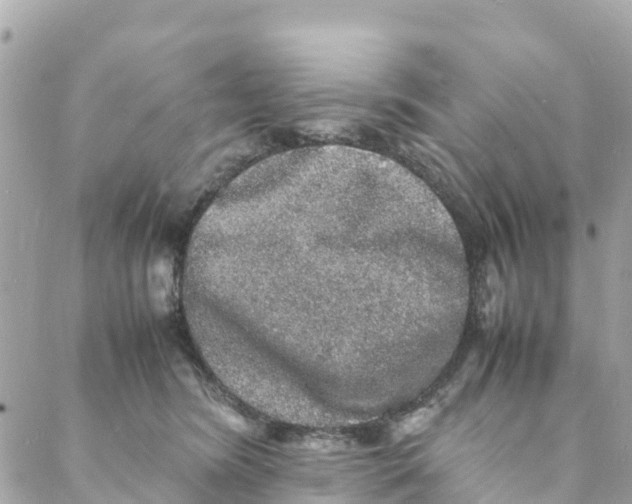 X0000088030420200706011354