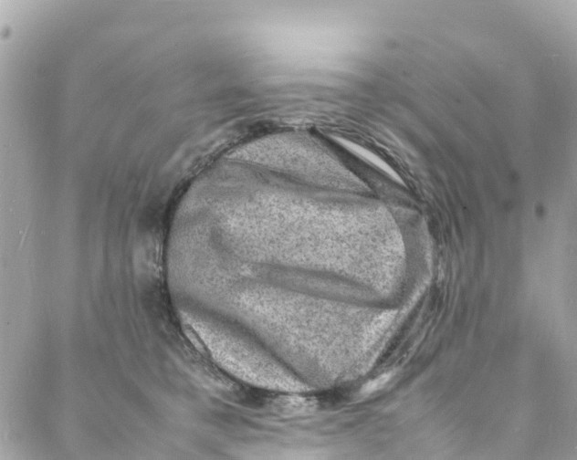 X0000088030421200706011354