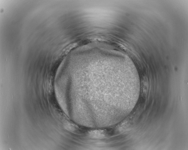 X0000088030422200706011354