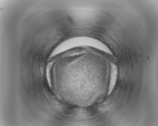 X0000088030424200706011354