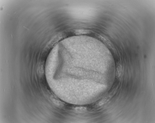 X0000088030426200706011354