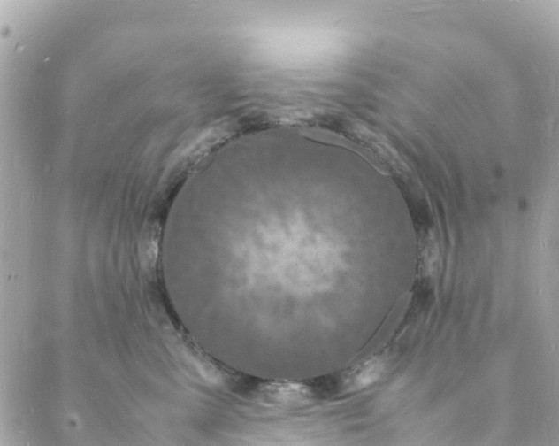 X0000088030427200706011354