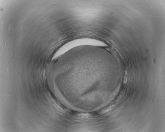 X0000088030428200706011354