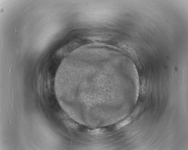 X0000088030430200706011354