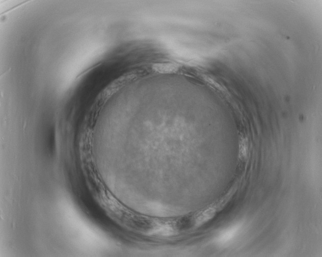 X0000088030431200706011354