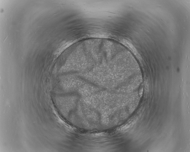 X0000088030433200706011353